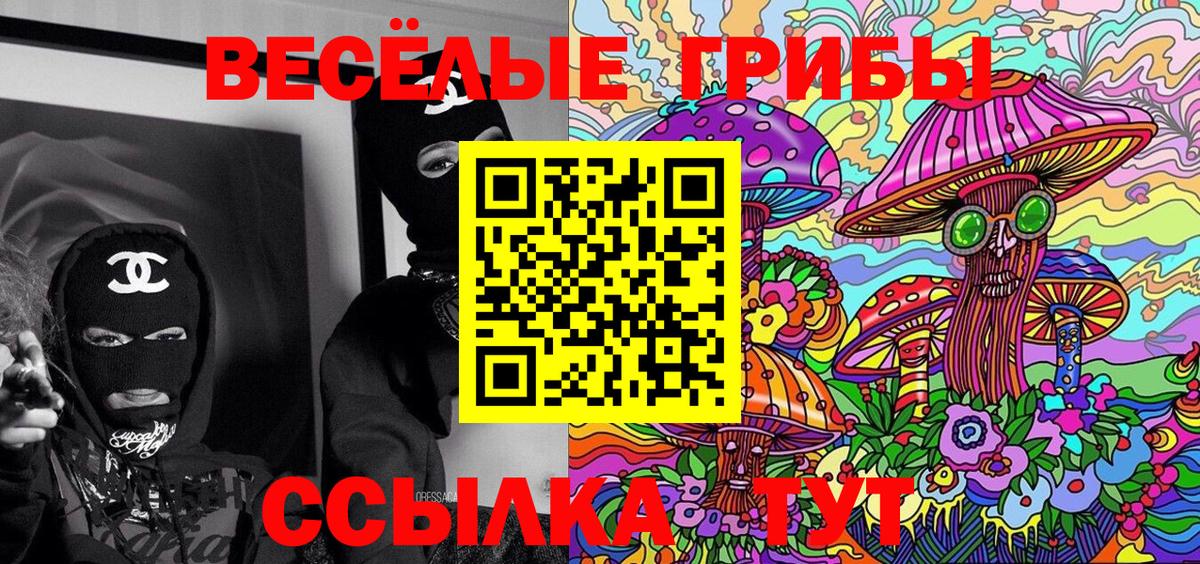 Псилоцибиновые грибы Cubensis  Вход с VPN  Ейск 
